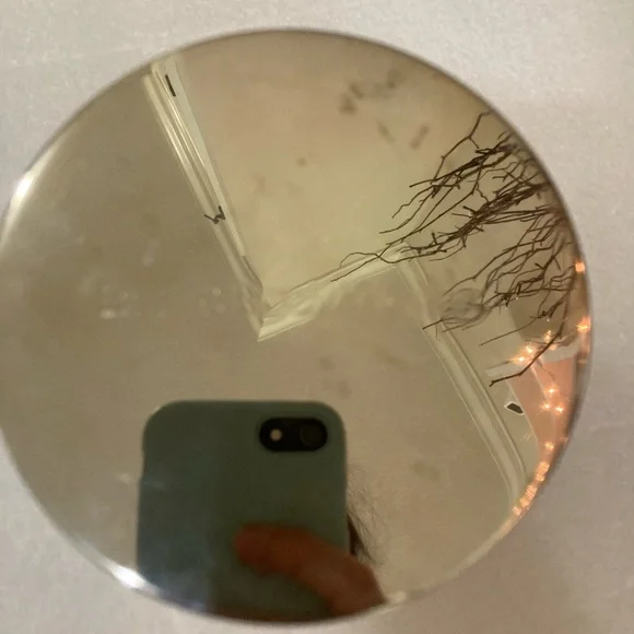 Salty Caramel Bath & Body Works Candle - Picture 3 of 6